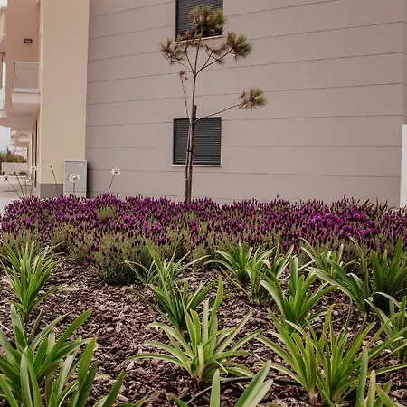 Appartamento Gold Baleal *